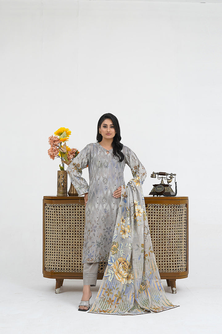 Grey Chikankari suit
